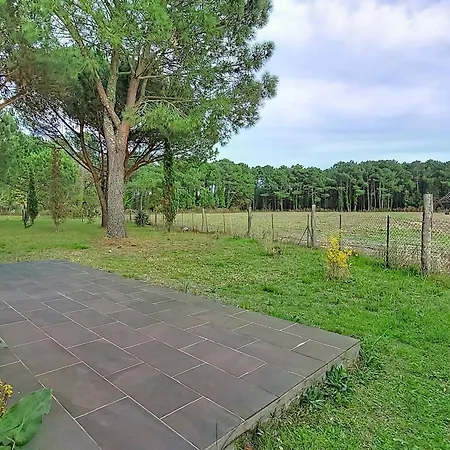 A - 2 - Cadre Forestier - Fr-1-857-44 וילה