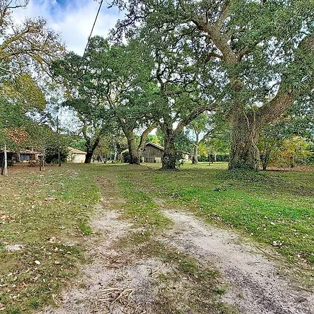 A - 2 - Cadre Forestier - Fr-1-857-44 Villa